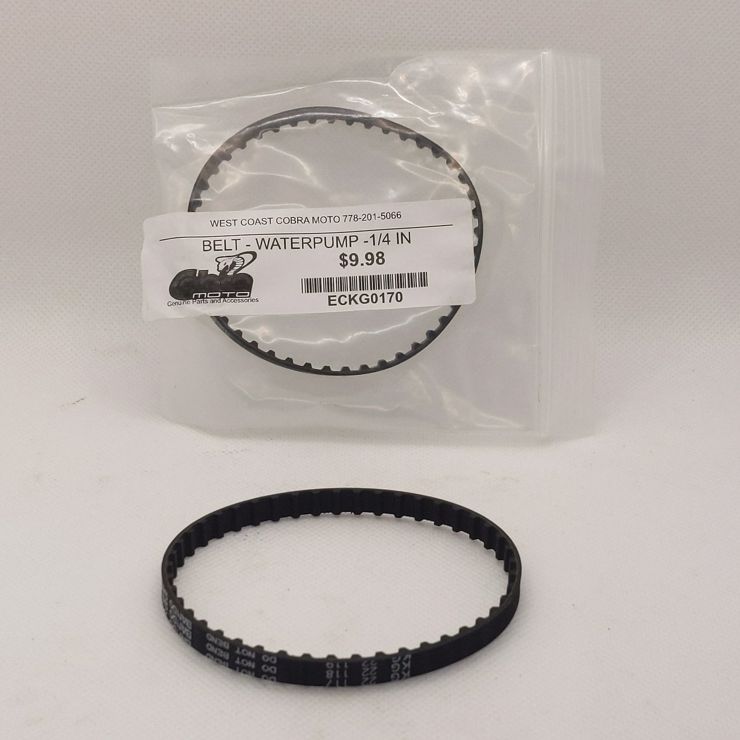 ECKG0170 BELT- WATERPUMP 1/4 IN
